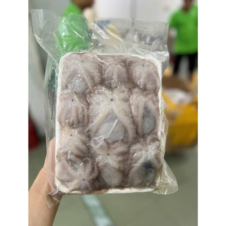 Bạch tuộc sữa baby - 1kg