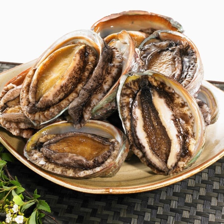 Bào Ngư size 20 con - 1kg net 6
