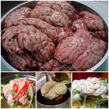 Óc bò 1 túi gần 2 bộ to tươi cấp đông - 400g