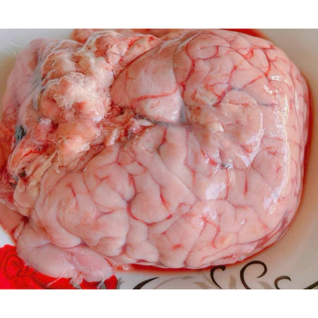 Óc bò 1 túi gần 2 bộ to tươi cấp đông - 400g