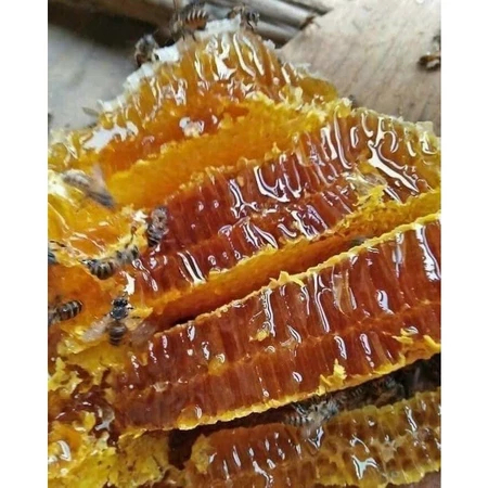 Mật Ong hoa cafe chai - 1L