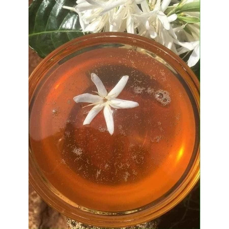 Mật Ong hoa cafe chai - 1L