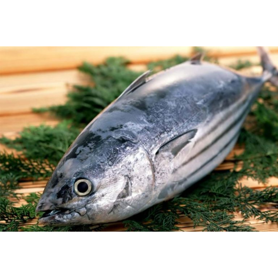 Cá Ngừ Nguyên Con làm sạch Cắt Khoanh Tươi Ngon - 1kg