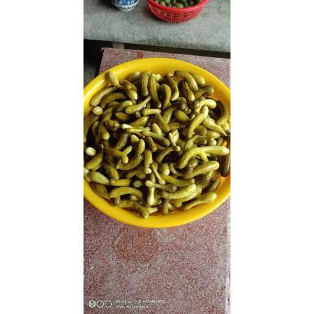 Mắm Dưa Leo Nụ nguyên trái nhà làm chưa trộn - 1kg