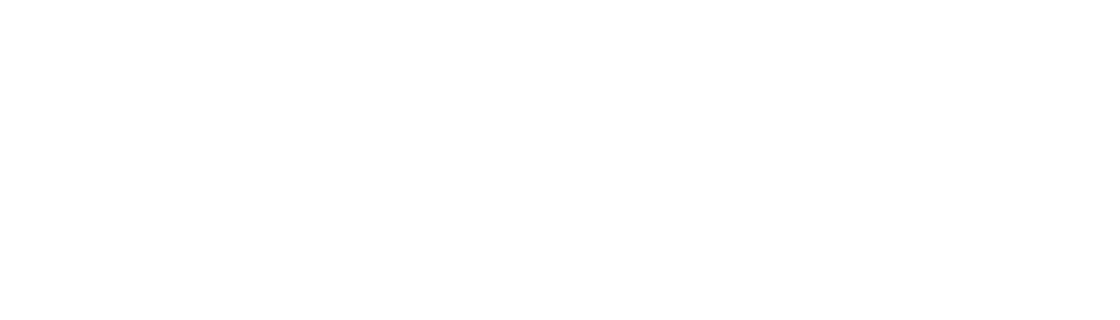 logo Nhịp sống Việt Nam