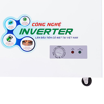 Tủ Đông Sanaky Inverter VH-4099A3 305 lít