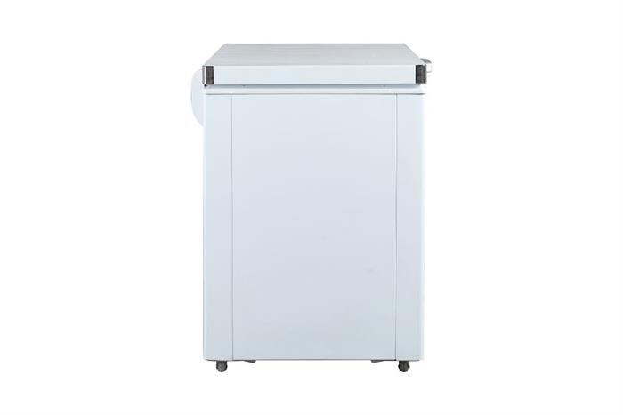 TỦ ĐÔNG ALASKA BD- 400C