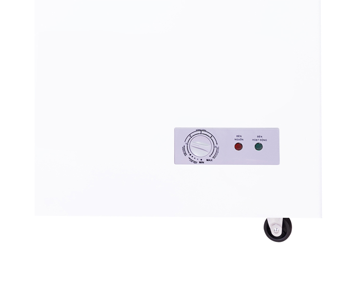 Tủ Đông Sanaky 208 lít VH-255A2