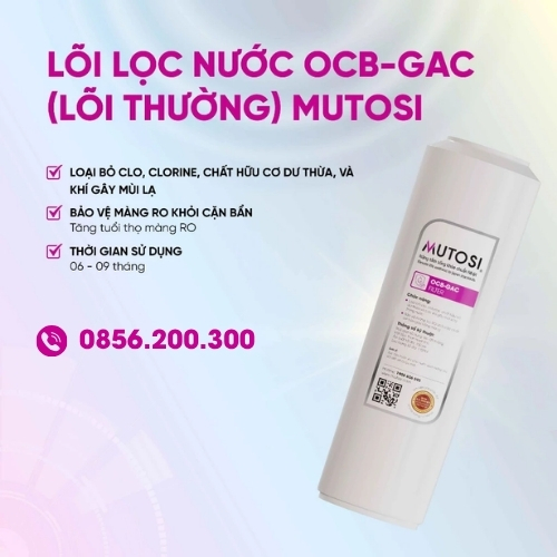 Tổng quan lõi số 2 Mutosi - OCB-GAC
