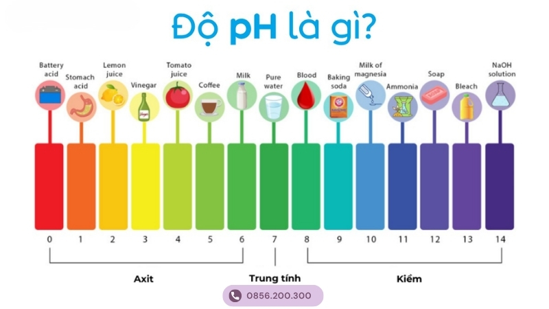 Độ pH là gì
