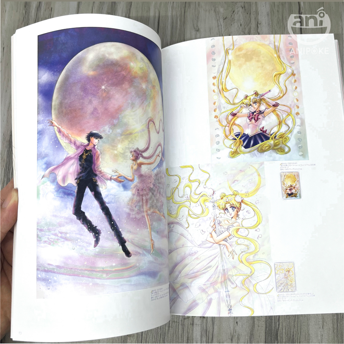 Pretty Guardian Sailor Moon Raisonné ART WORKS 1991～2023  AB01