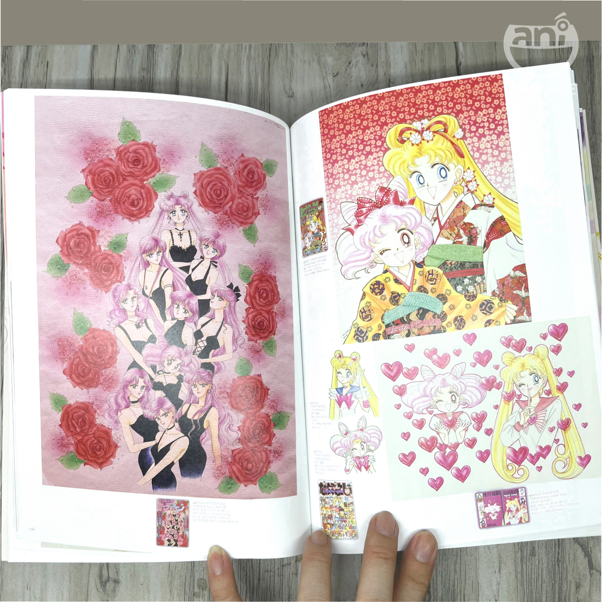 Pretty Guardian Sailor Moon Raisonné ART WORKS 1991～2023  AB01