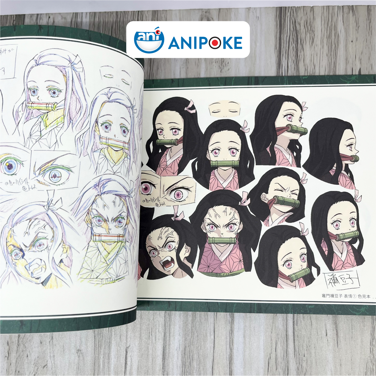 Artbook gốc Ufotable Kimetsu no Yaiba Thiết kế Nhân vật và bối cảnh anime artbook vol 1 Nhập từ Nhật - AB13
