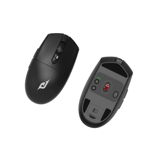 Chuột EDRA EM6102WL