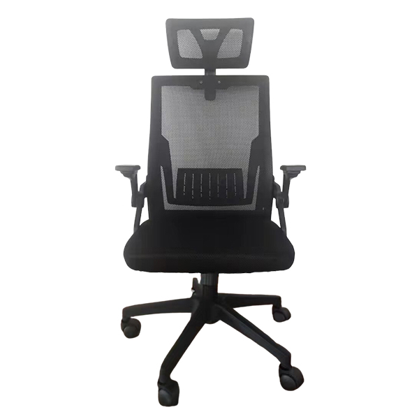Ghế công thái học EDRA EEC218