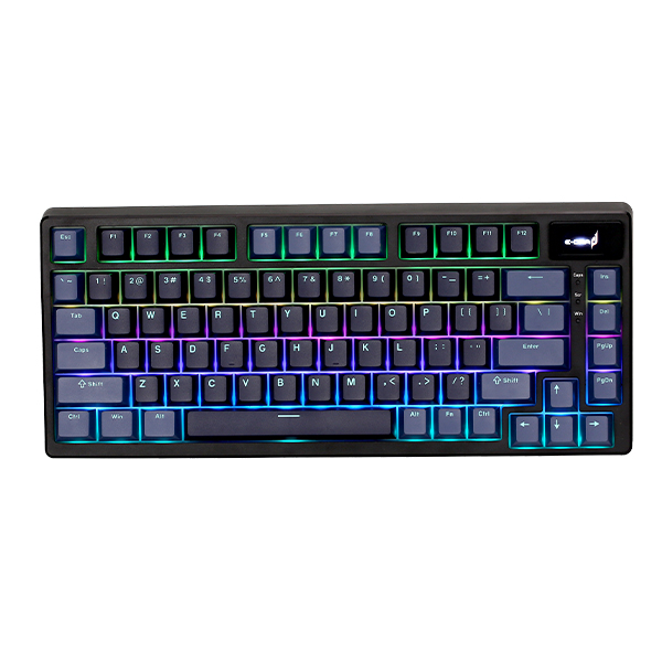 Bàn phím cơ chơi game EDRA EK375PRO - Alpha (Navy + Blue)