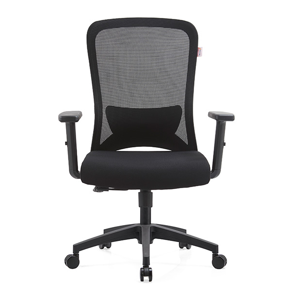 Ghế công thái học EDRA EEC221