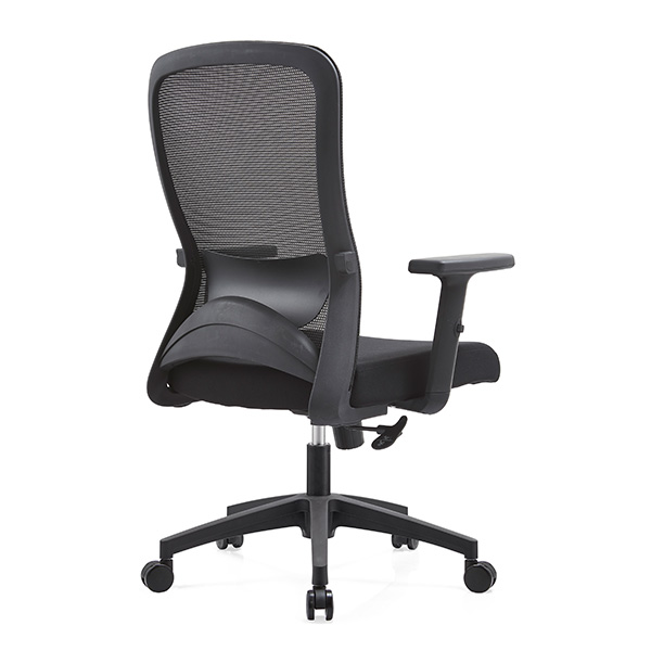 Ghế công thái học EDRA EEC221