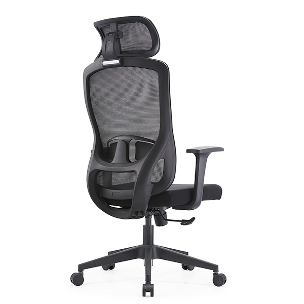 Ghế công thái học EDRA EEC222
