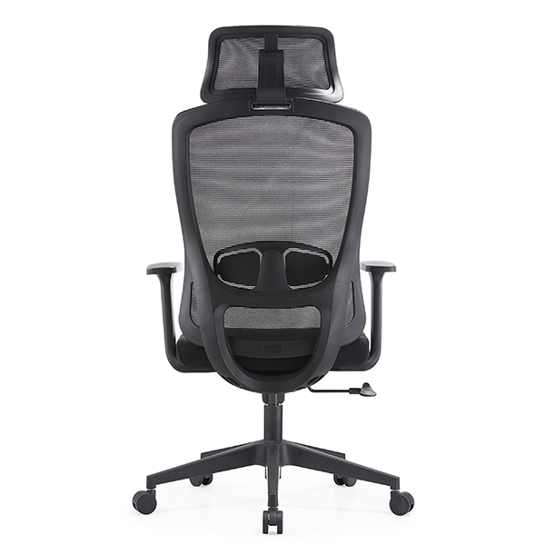 Ghế công thái học EDRA EEC222