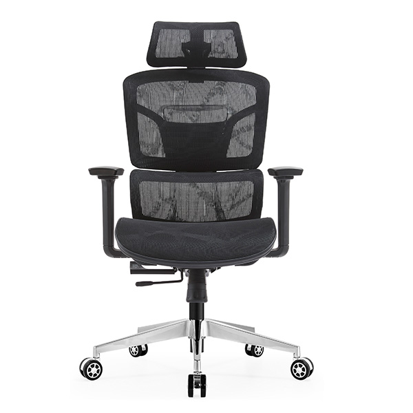 Ghế công thái học EDRA EEC223