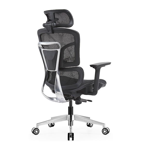 Ghế công thái học EDRA EEC223