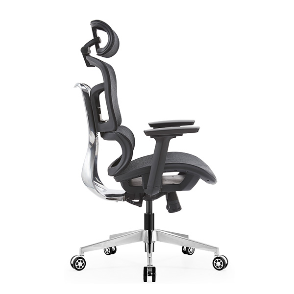 Ghế công thái học EDRA EEC223