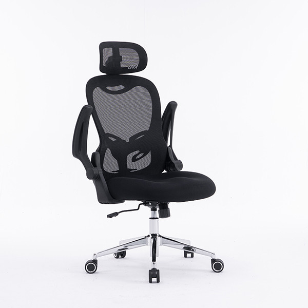Ghế công thái học EDRA EEC224