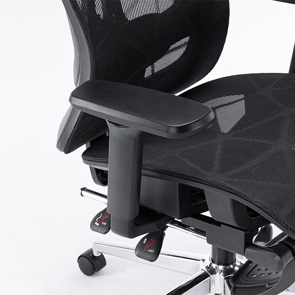 Ghế công thái học EDRA EEC225