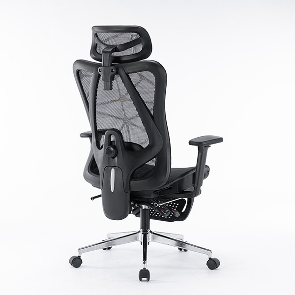 Ghế công thái học EDRA EEC225