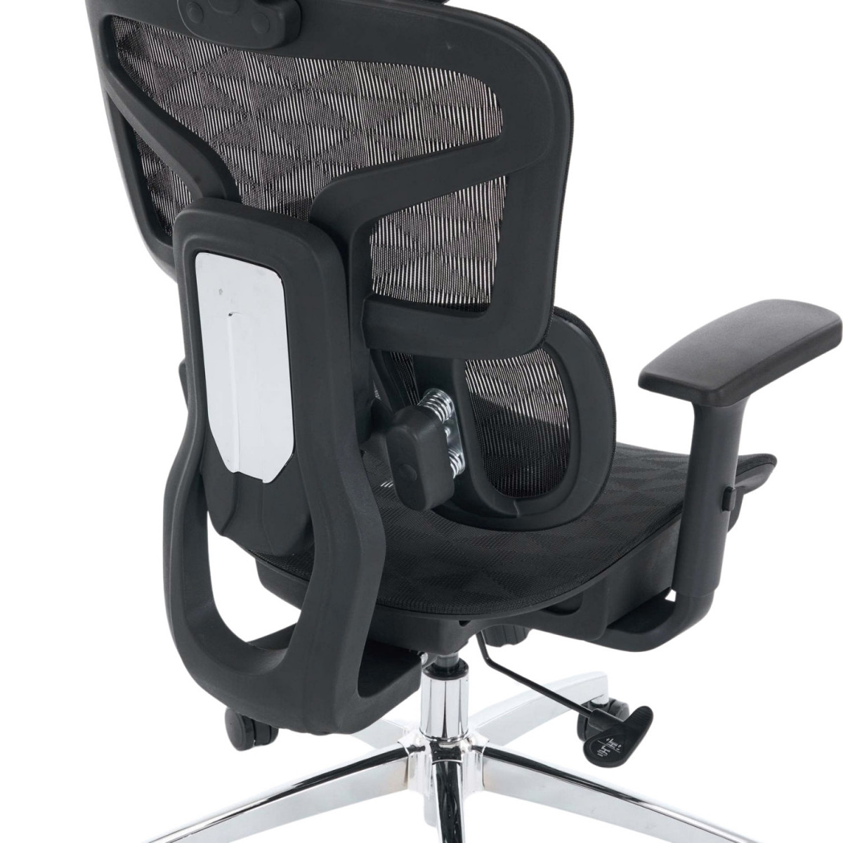 Ghế công thái học EDRA EEC226