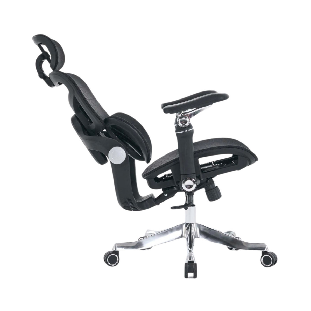 Ghế công thái học EDRA EEC227