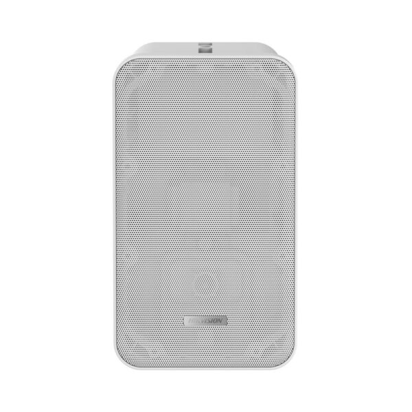 Loa Analog treo dạng trụ DS-QAE0420G1-V