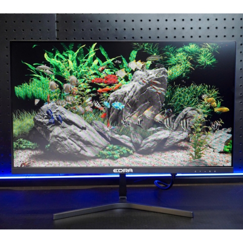 Màn Hình 24 Inch EDRA EGM24F100s Full HD IPS 100hz