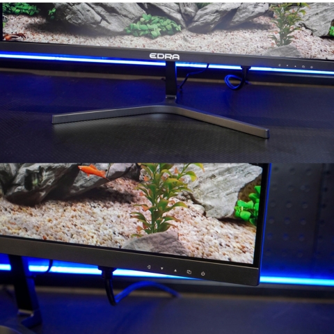 Màn Hình 24 Inch EDRA EGM24F100s Full HD IPS 100hz