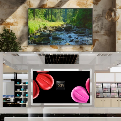 Màn Hình Thương Mại 98 Inch 4K UHD Sony Pro BRAVIA BZ53L FW-98BZ53L