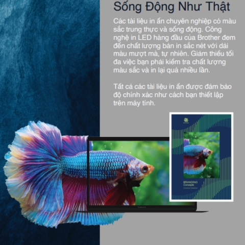 Máy In Laser Màu Brother HL-L3240CDW Công Nghệ LED In 2 Mặt