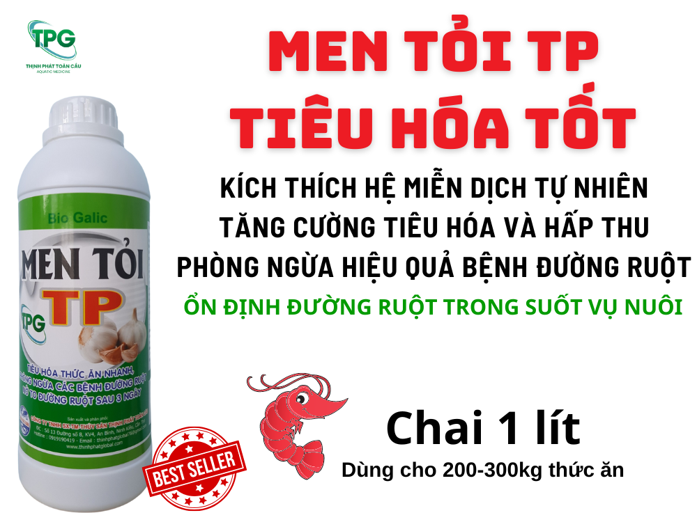 MEN TỎI TP- Hỗ trợ tôm tiêu hoá tốt, phòng phân trắng, ruột lỏng, ruột đứt khúc trên tôm nuôi