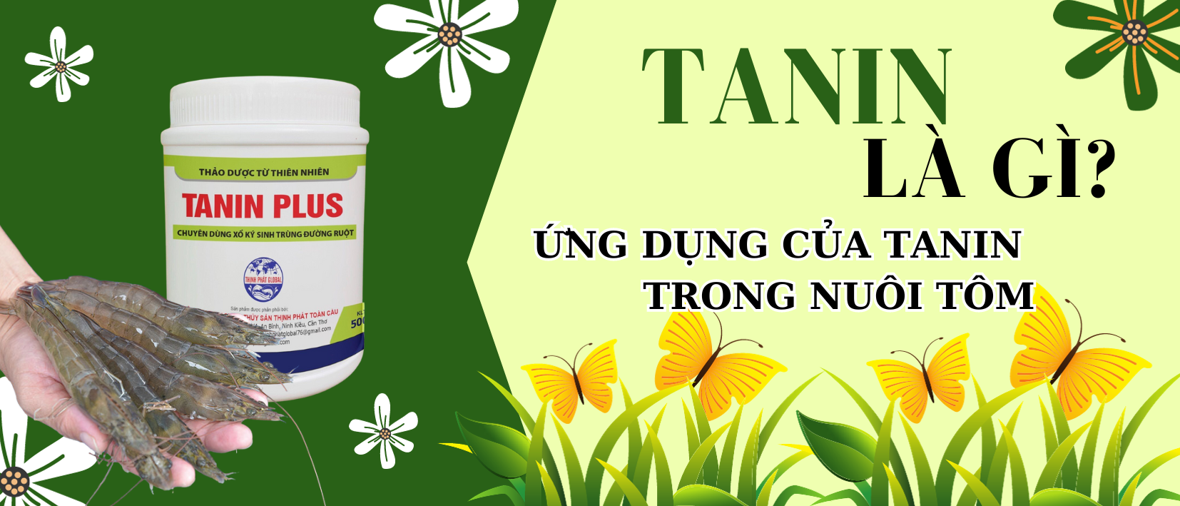 TANIN LÀ GÌ? ỨNG DỤNG CỦA TANIN TRONG NUÔI TRỒNG THỦY SẢN