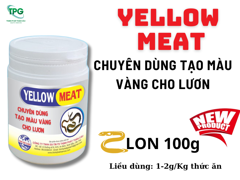 YELLOW MEAT - CHUYÊN TẠO MÀU VÀNG CHO LƯơN. Giúp lươn lên màu vàng đẹp, tự nhiên, xuất bán giá cao