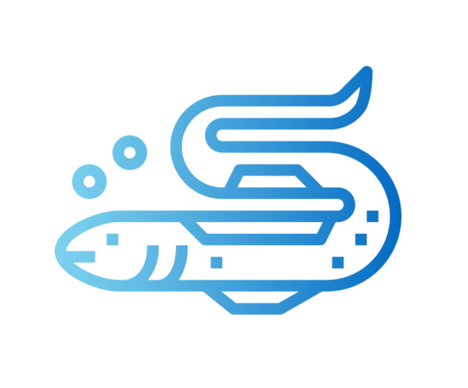 Sản phẩm dành cho Lươn