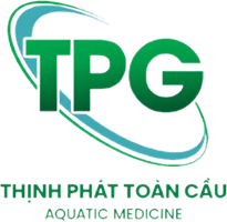 Thinh Phát Toàn Cầu