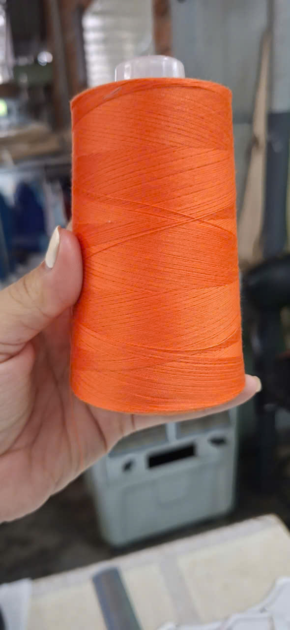 Chỉ