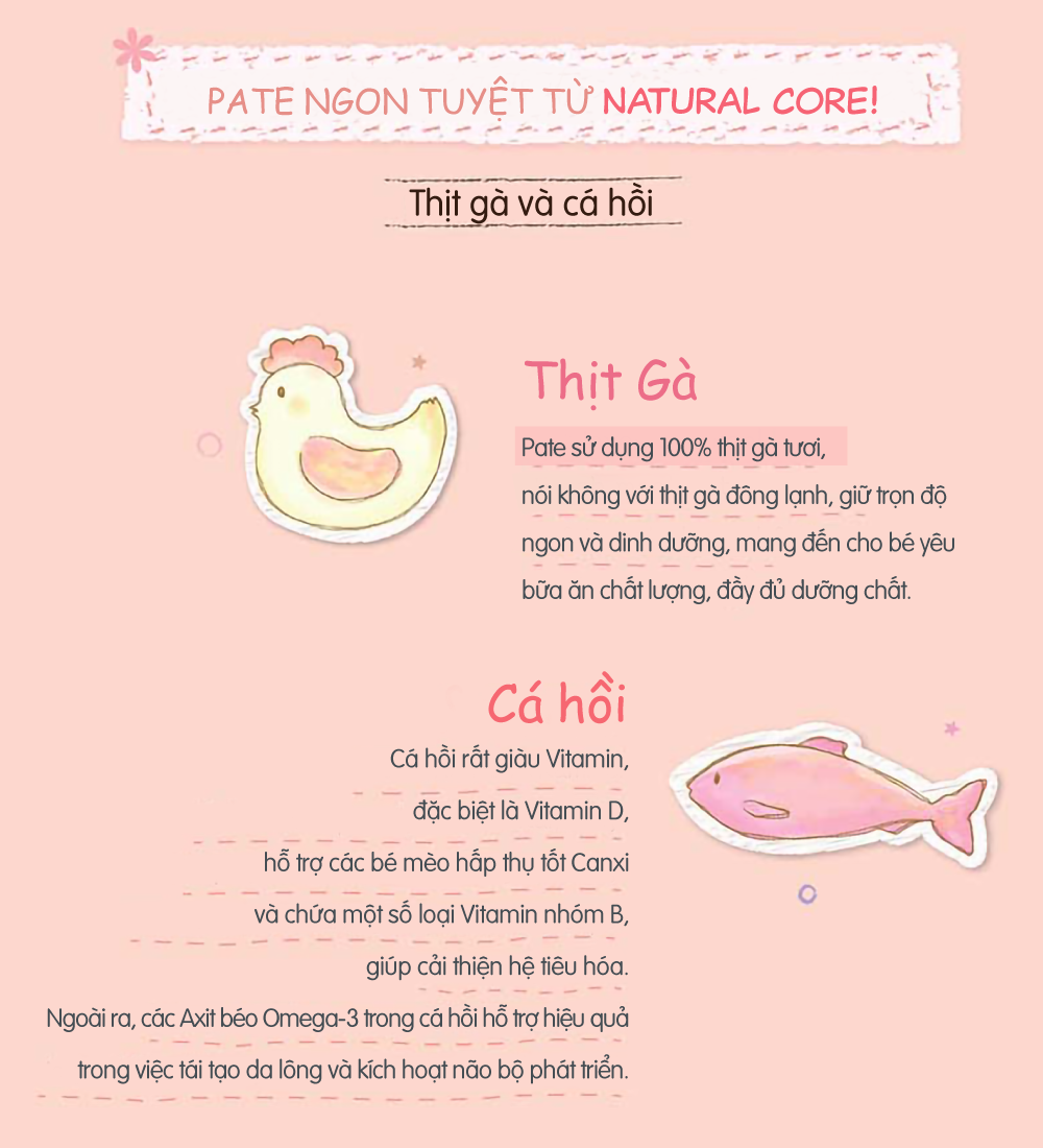 Pate gà và cá hồi cho mèo