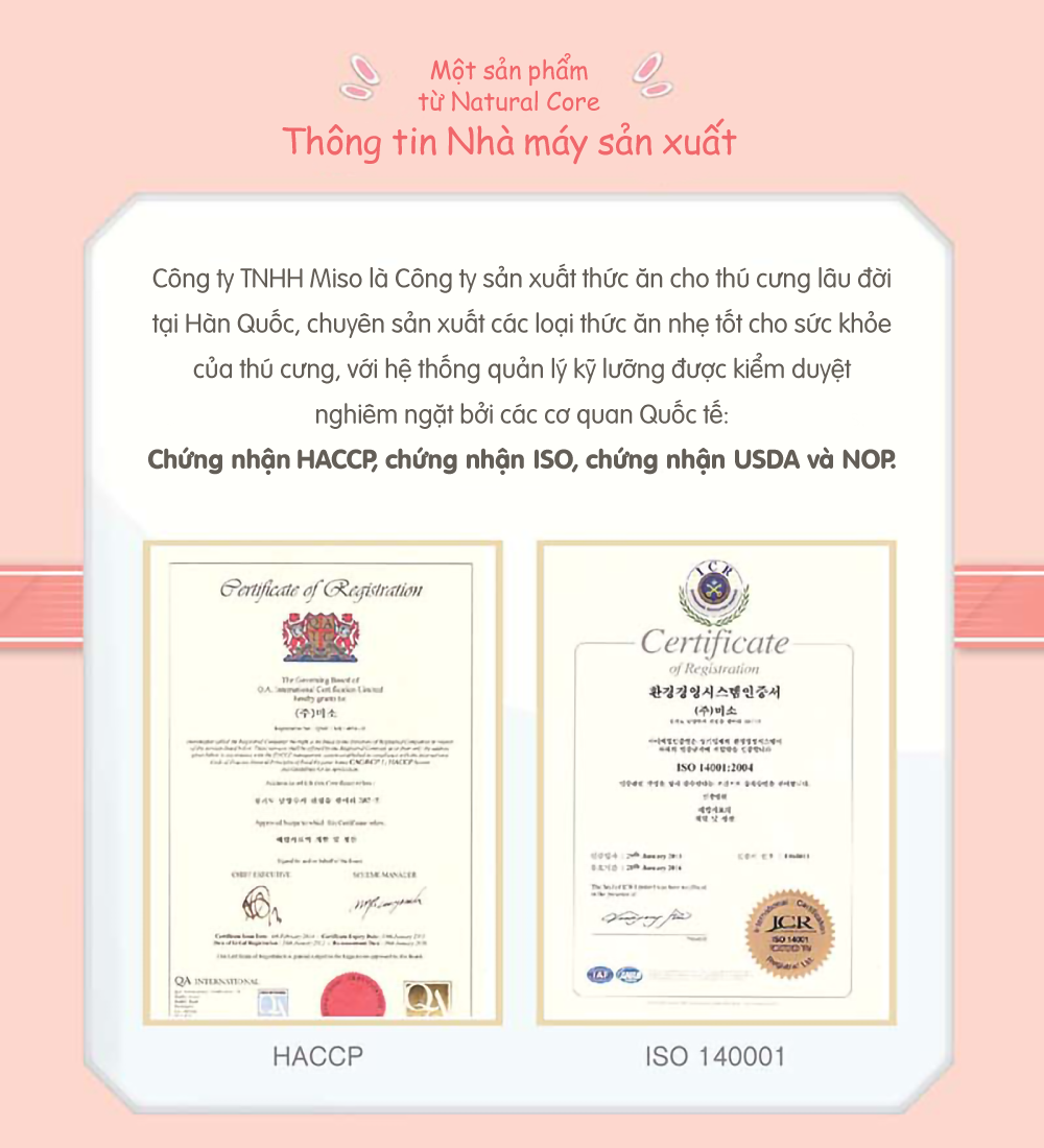 Pate gà và cá hồi cho mèo