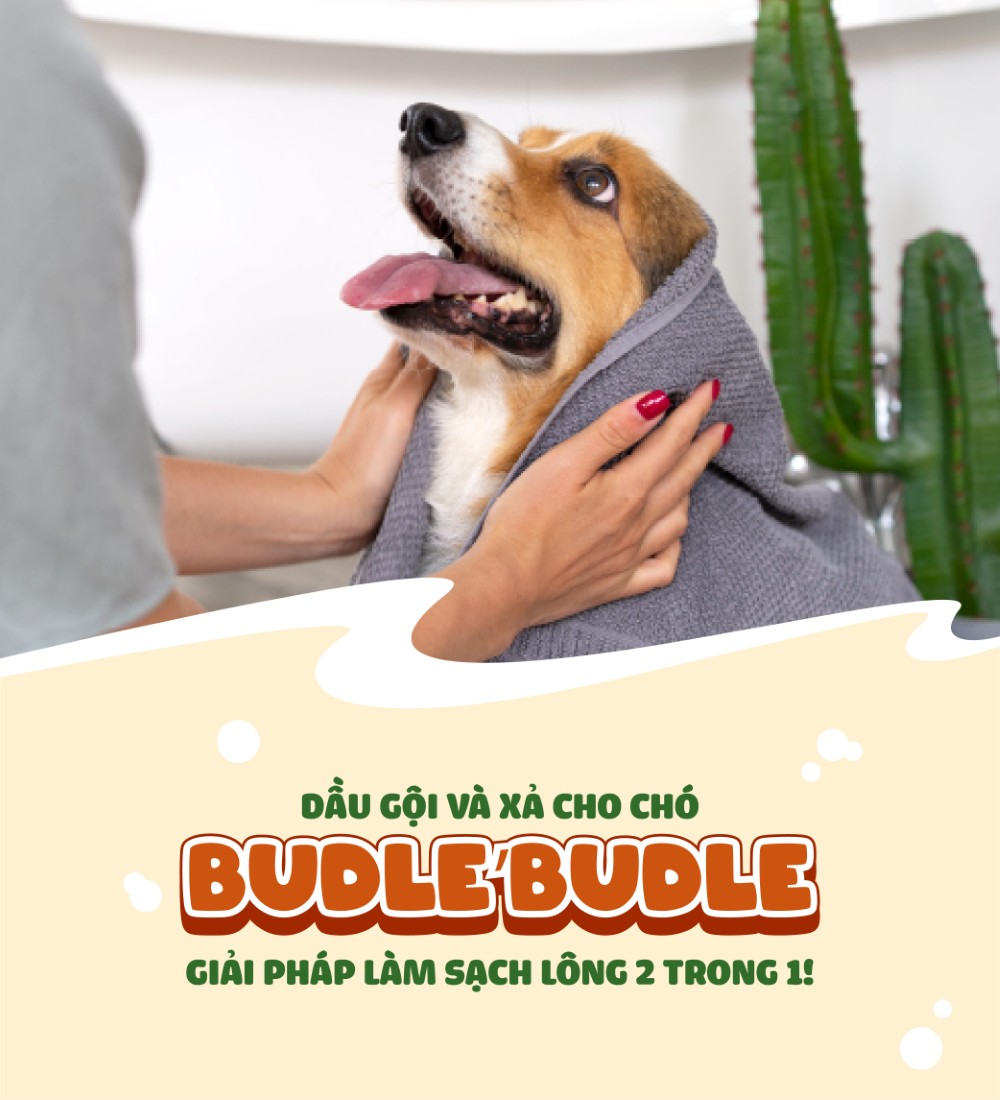 Dầu gội và xả cho chó Budle'Budle