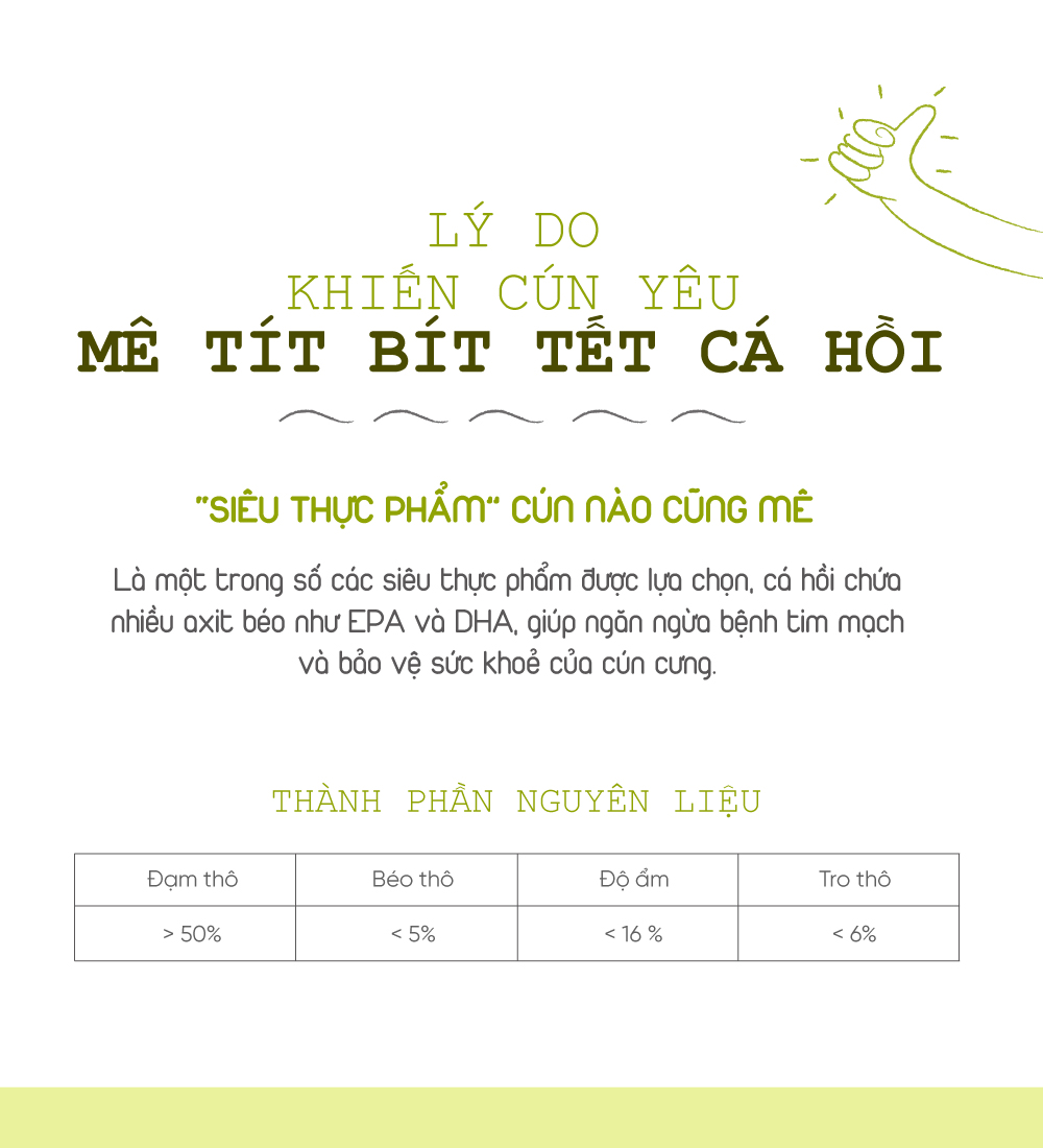 Bít tết cho chó