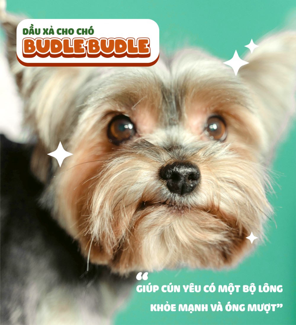 Dầu xả cho chó Budle'Budle
