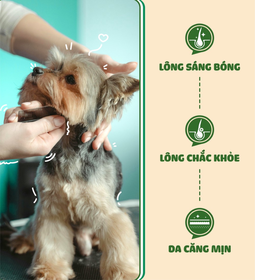 Dầu xả cho chó Budle'Budle