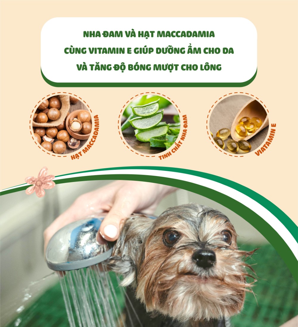 Dầu xả cho chó Budle'Budle